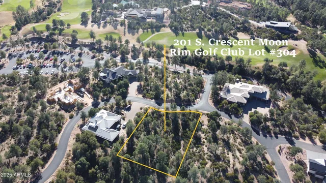 a view of a tree with a yard