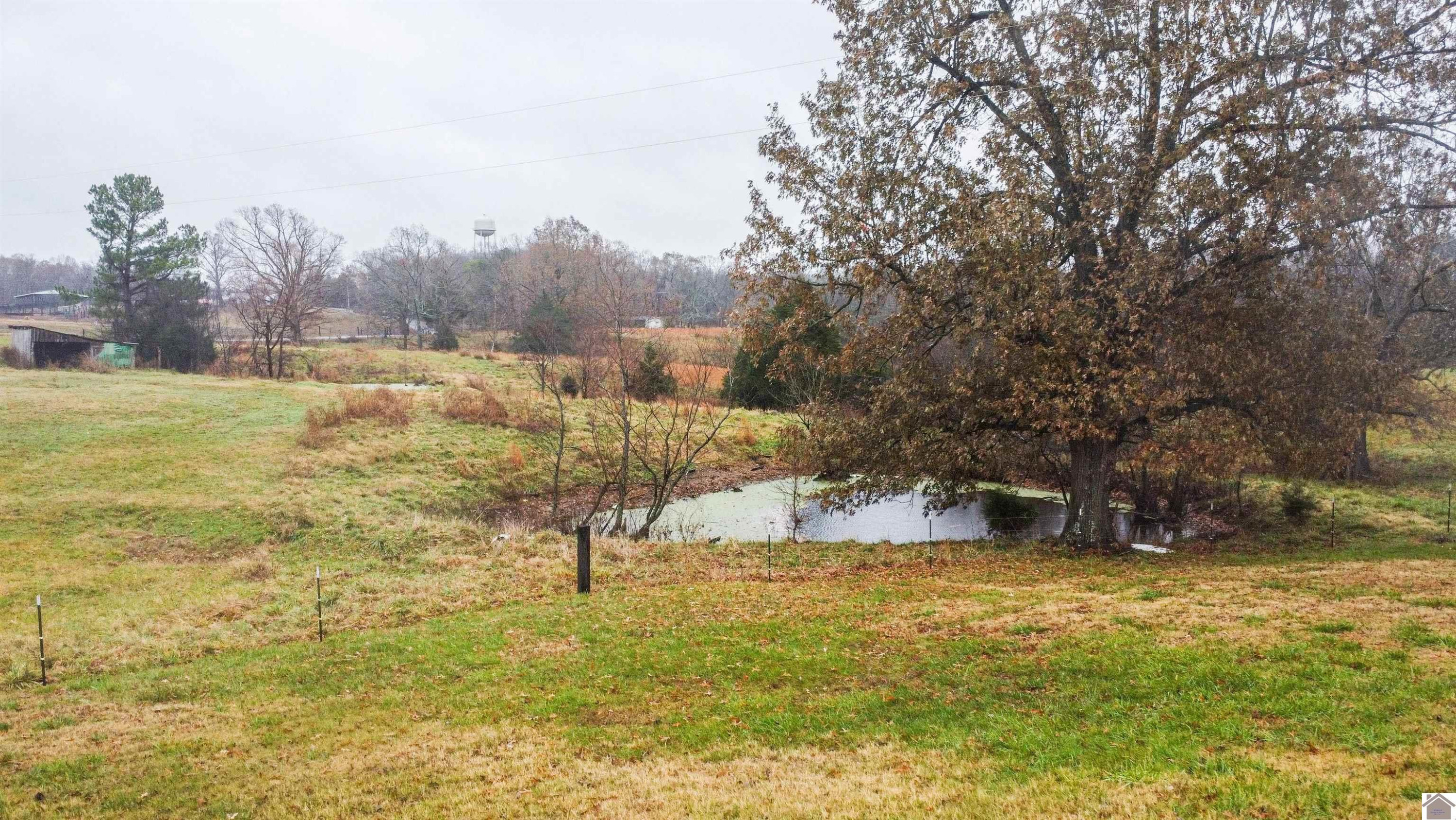 2820 Curd Road Benton, KY 42025 - Photo 7 of 34 Photo 7