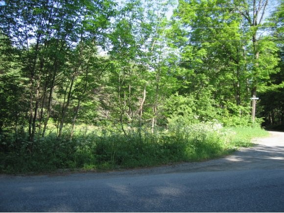 Wild Hill Road Fairlee, VT 05045 - Photo 1 of 1