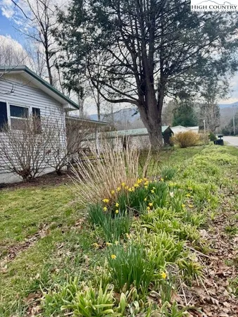 a backyard of a house with lots of green space