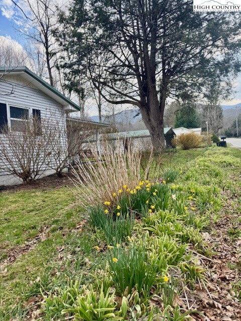 304 Elk River Road Elk Park, NC 28622 - Photo 6 of 36 a backyard of a house with lots of green space