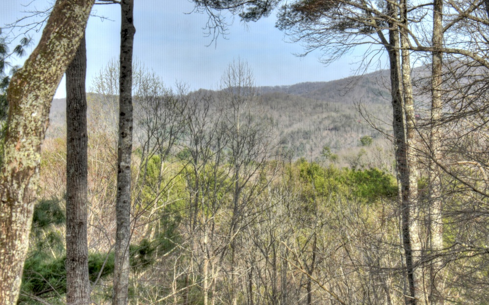 38 Holloway Circle Blue Ridge, GA 30513 - Photo 2 of 4