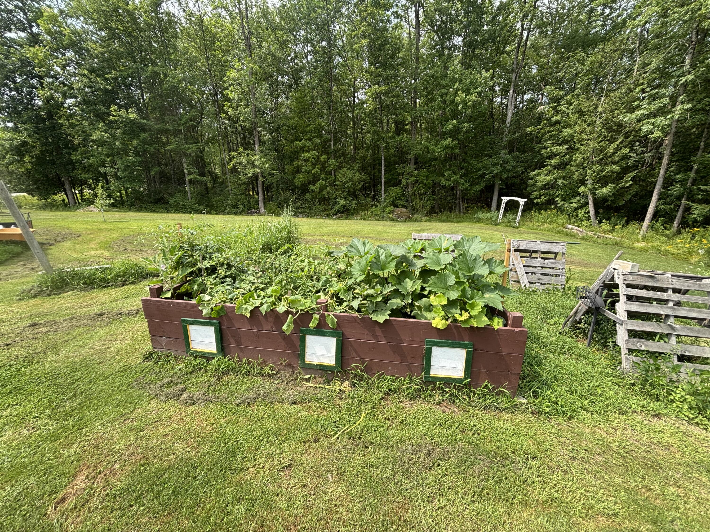 480 Winnecook Road Burnham, ME 04922 - Photo 18 of 38 IMG_7972