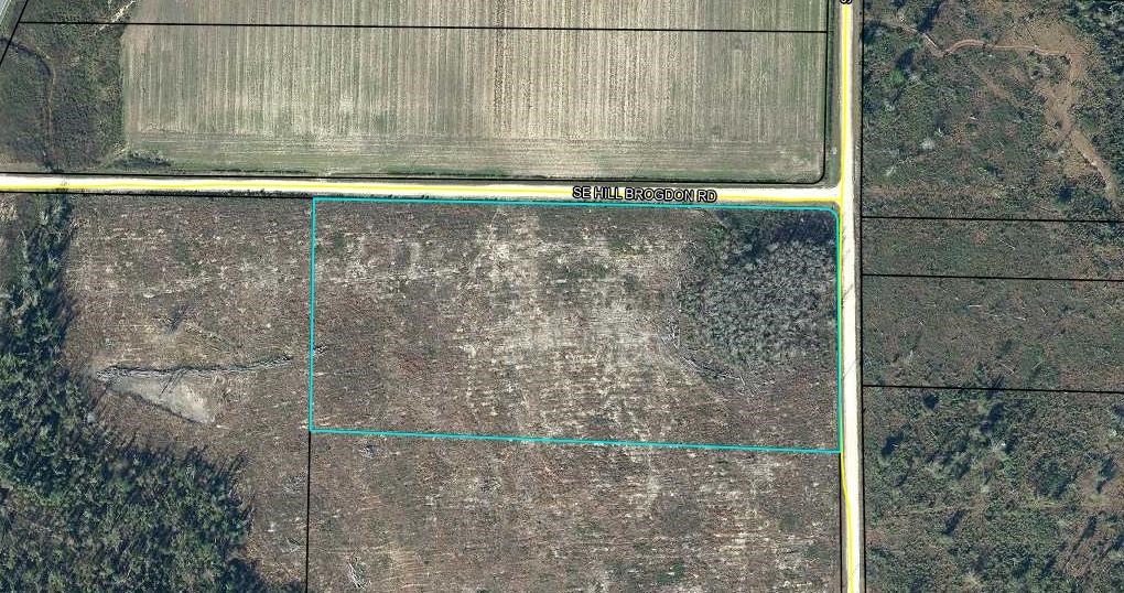 40 Davis Peacock Road Wewahitchka, FL 32449 - Photo 10 of 22