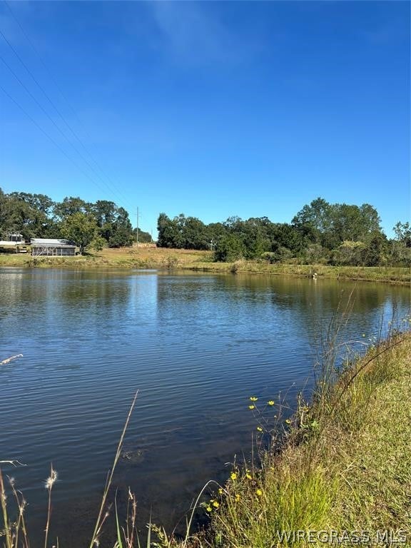 0 Culpepper Road Coffee Springs, AL 36318 - Photo 11 of 23 Gallery Image 11