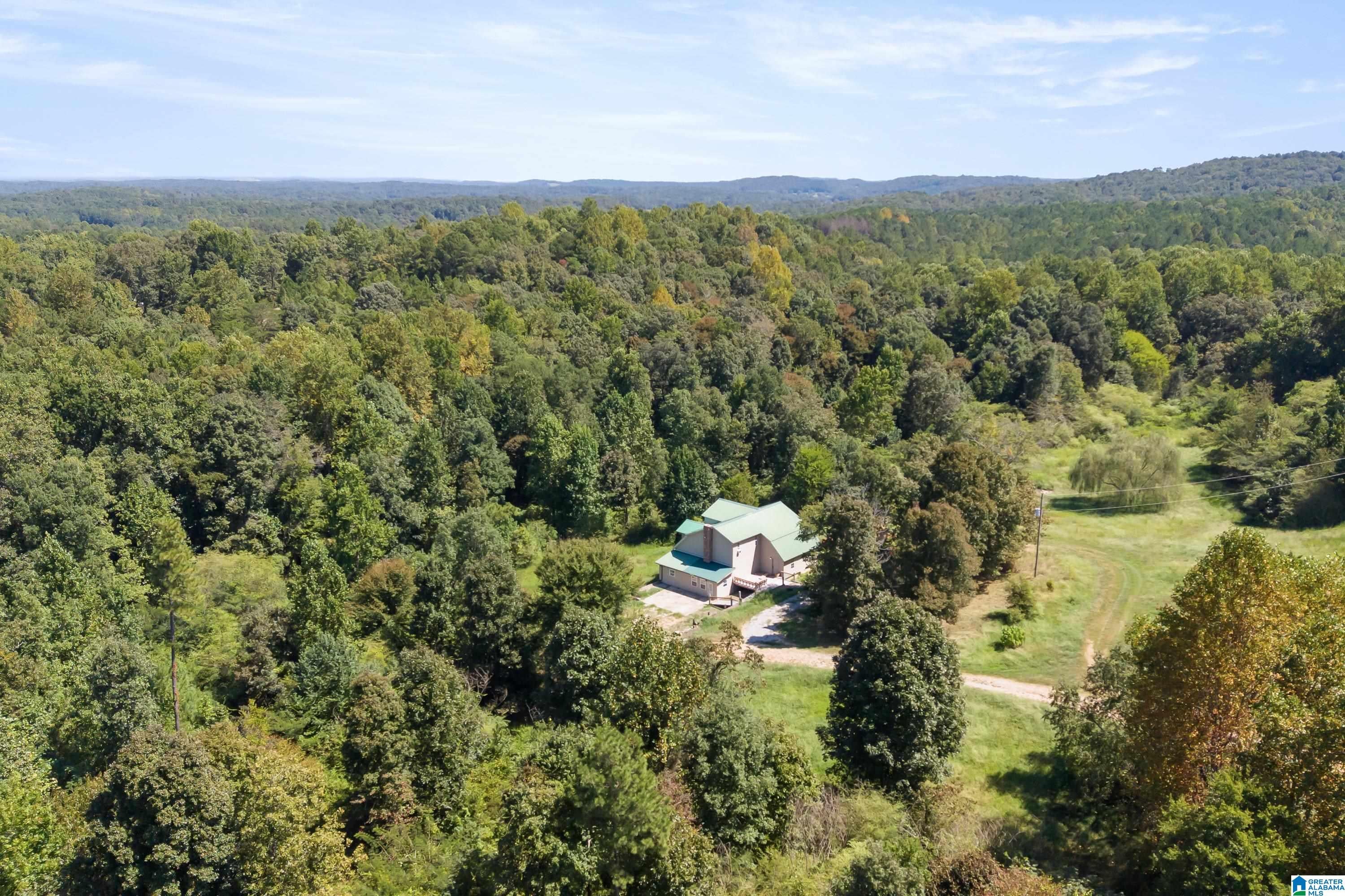 235 Graham Road Pell City, AL 35125 - Photo 1 of 47 Gallery Image 1