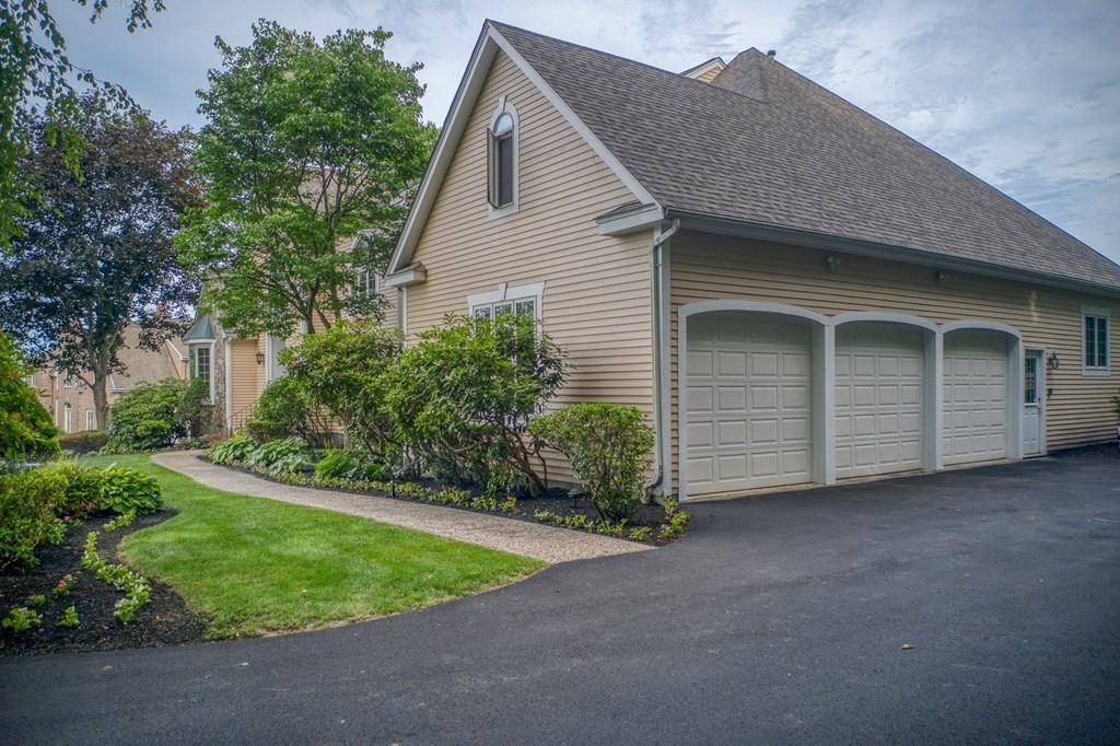 9 Ruggiero Way Andover, MA 01810 - Photo 8 of 9 a view of a house with a small yard plants and a large tree