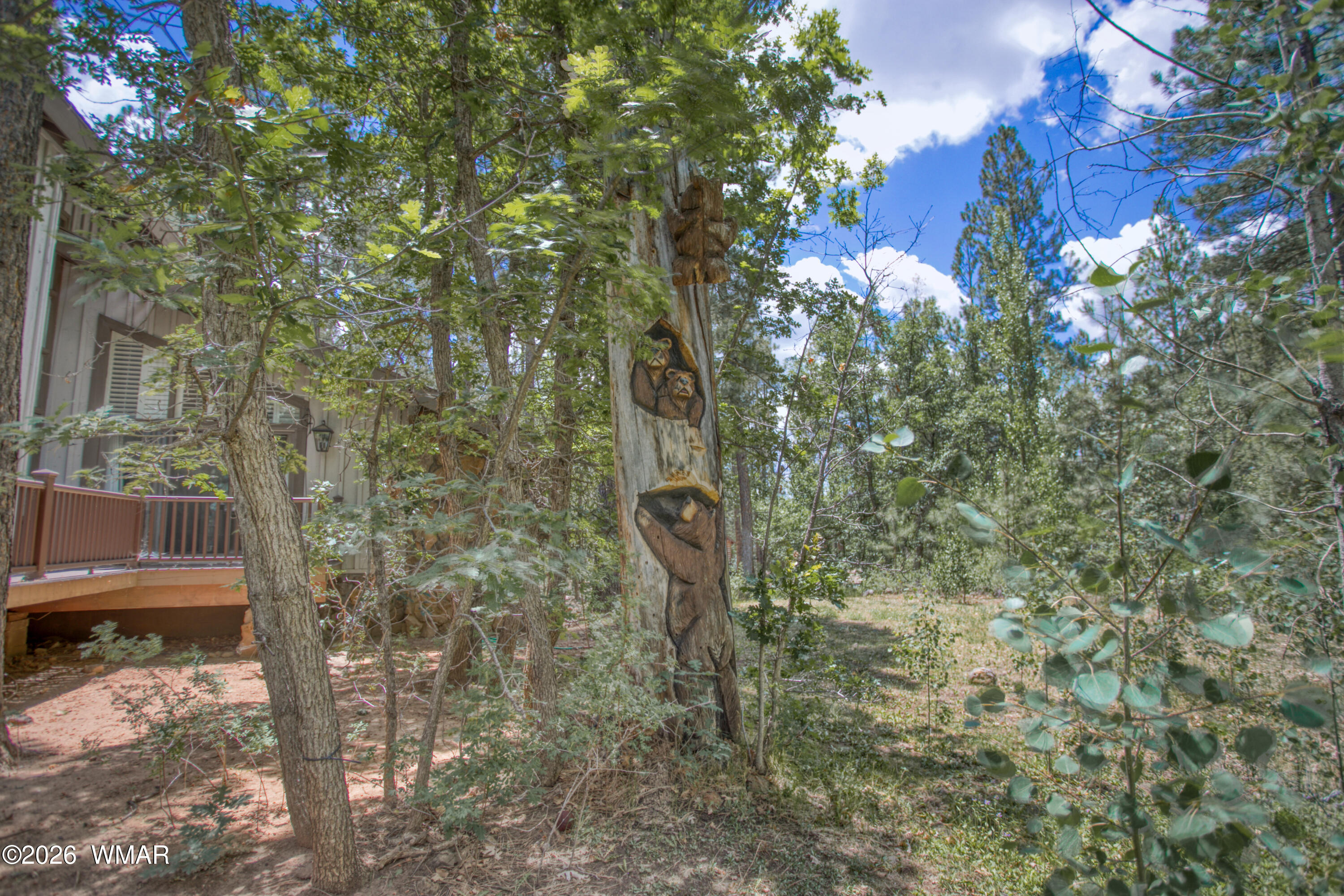 3280 Red Robin Road Pinetop, AZ 85935 - Photo 52 of 64