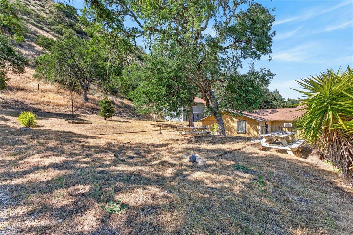 46404 Arroyo Seco Road Greenfield, CA 93927 - Photo 43 of 53 a view of a yard with plants and trees