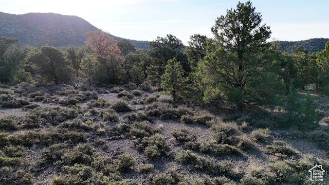 123 Tbd Prout Wash Road North Cedar City, UT 84721 - Photo 27 of 82