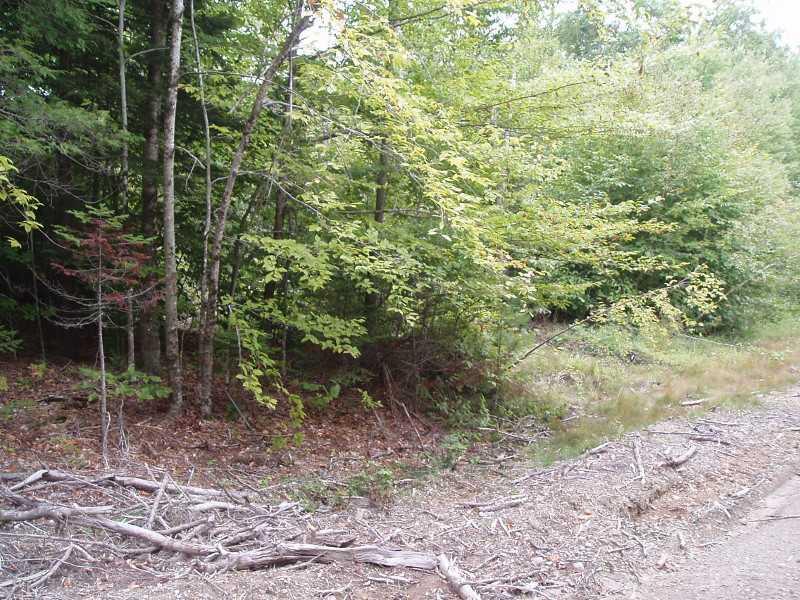 356 Ridge School Road Liberty, ME 04949 - Photo 4 of 12 Land.