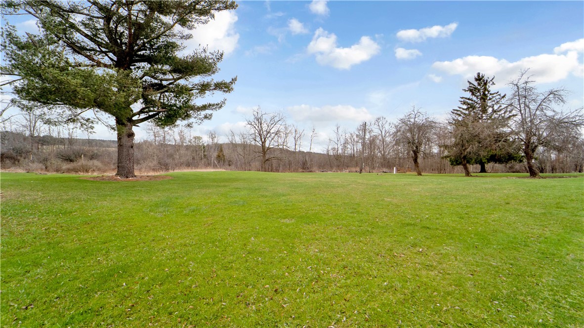 5212 County Road 4 Hector, NY 14818 - Photo 3 of 11