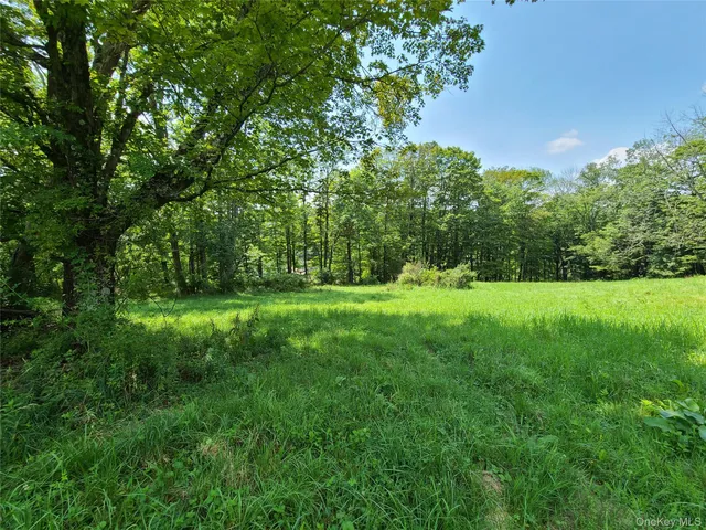 a view of green field with trees in the background