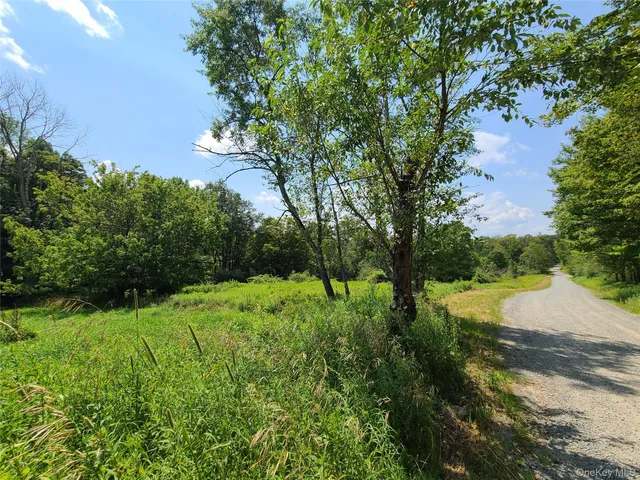 a view of a yard with plants and a large tree