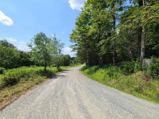 a view of a road with a trees in the background