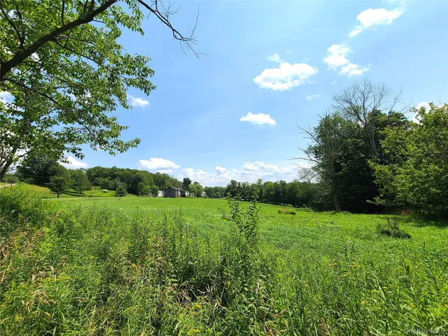 a view of a big yard with plants and large trees
