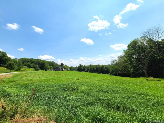 a view of a big yard with a large tree