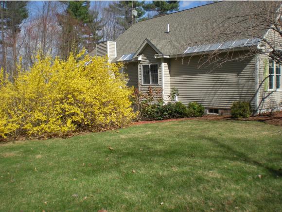 28 Bush Hill Road Pelham, NH 03076 - Photo 33 of 36
