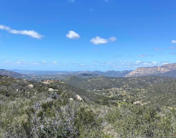 a view of a bunch of trees and houses