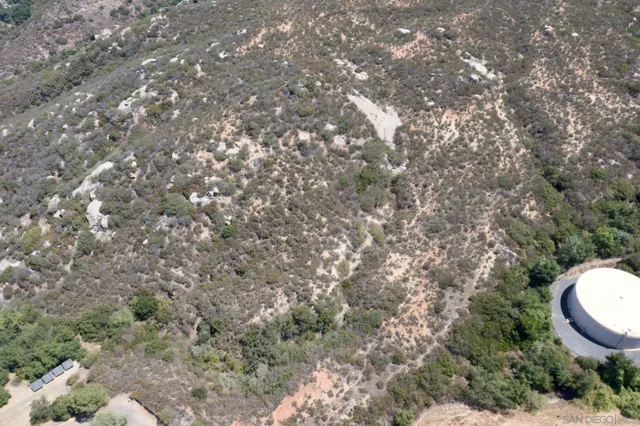 a view of a city with lush green forest