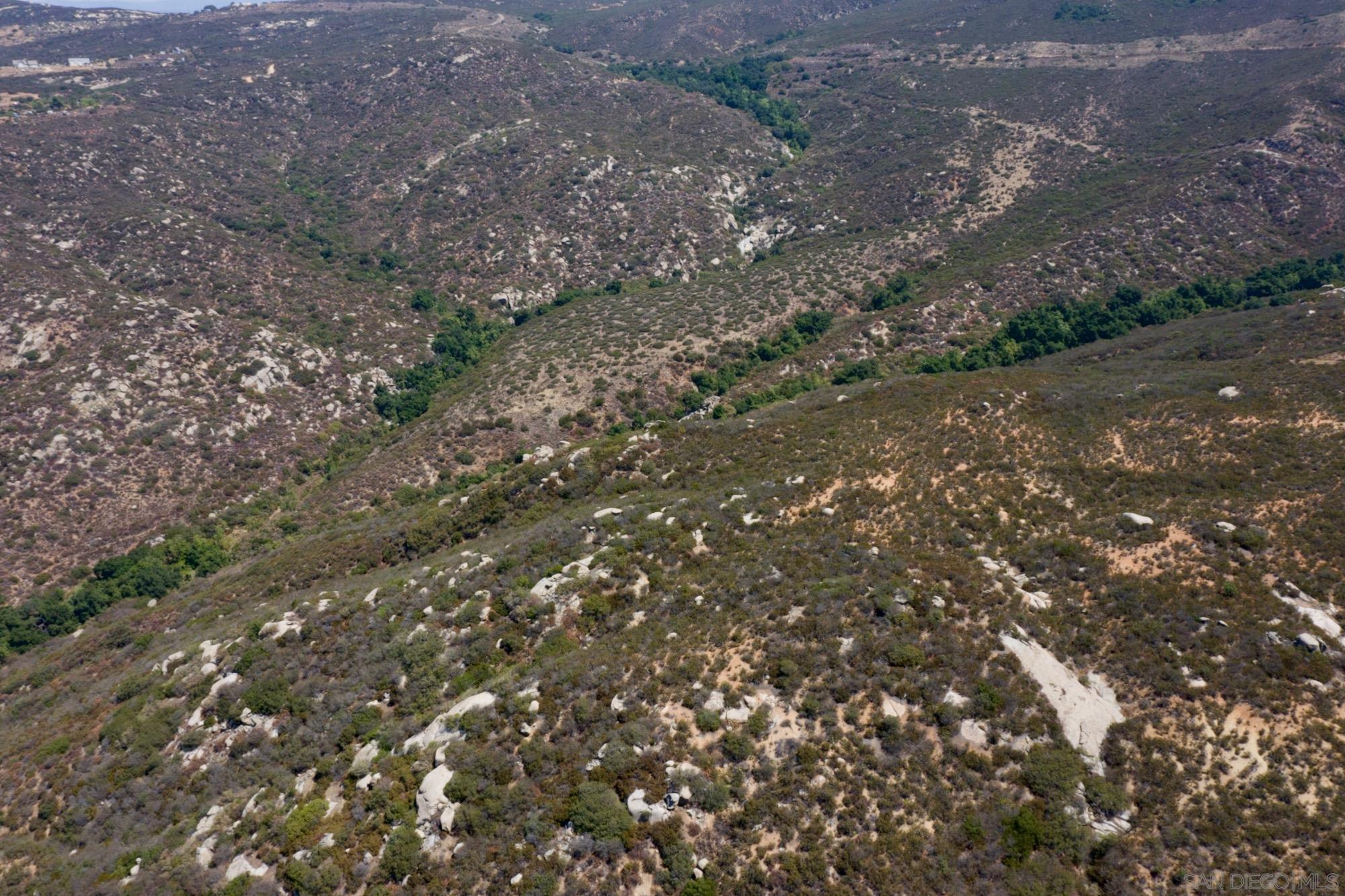 0 North Victoria Drive Alpine, CA 91901 - Photo 16 of 58 a view of a forest with a tree