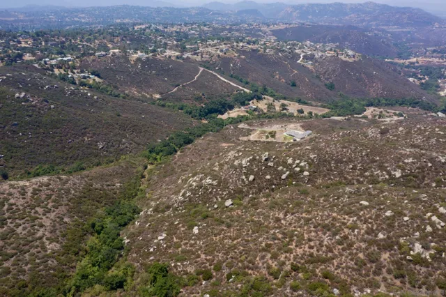 a view of a field with trees