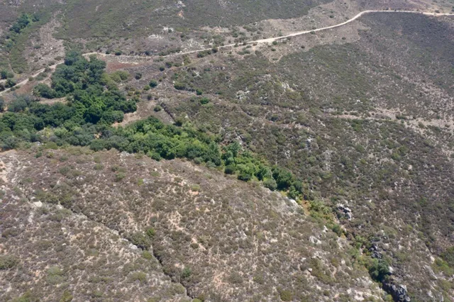 an aerial view of residential house and green space