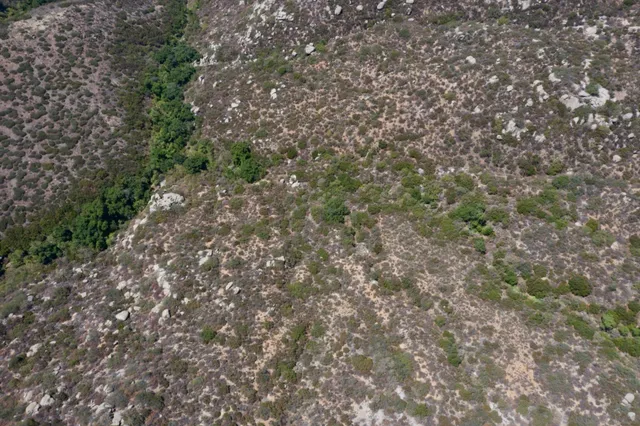 a view of city and mountain