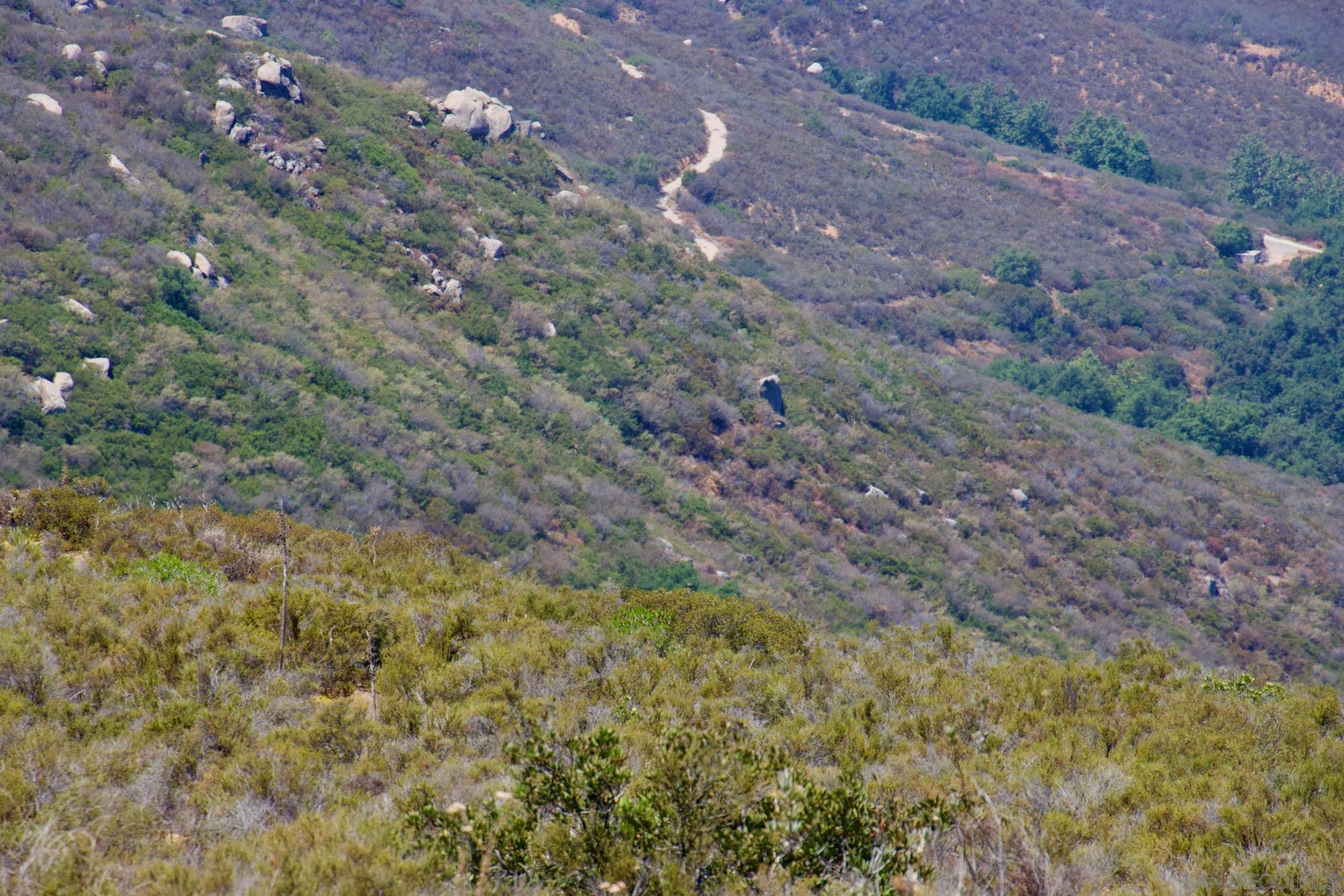 0 North Victoria Drive Alpine, CA 91901 - Photo 41 of 58 a view of a yard with a tree