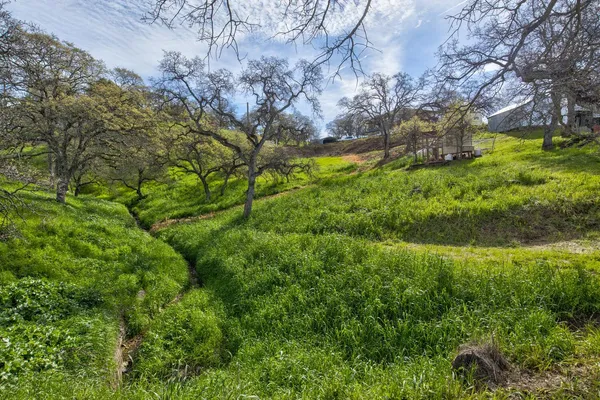 $355,000 | 9212 Banderilla Drive, La Grange, CA 95329