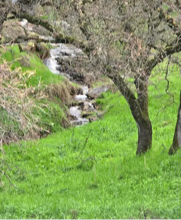 $355,000 | 9212 Banderilla Drive, La Grange, CA 95329