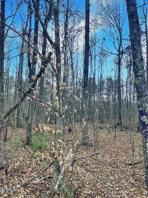 0 Parham Road Roxboro, NC 27574 - Photo 8 of 11