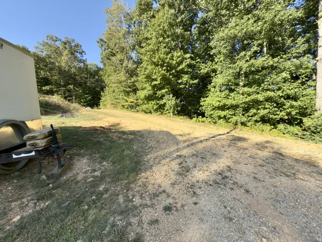 a view of a yard with plants and trees