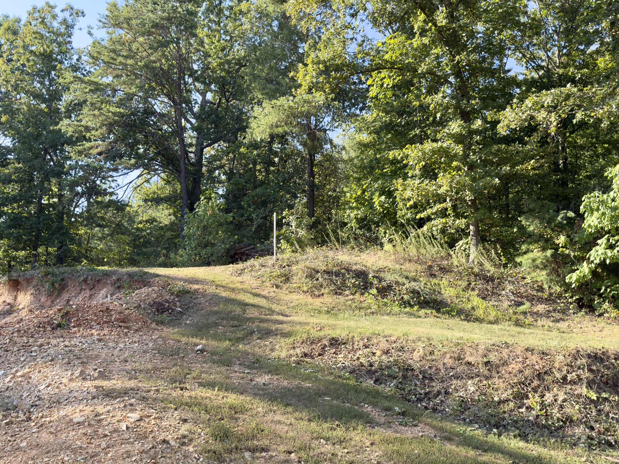 97 Camp Circle Waverly, TN 37185 - Photo 38 of 52 a view of a yard with plants and trees
