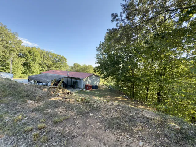 a view of a forest with trees in the background