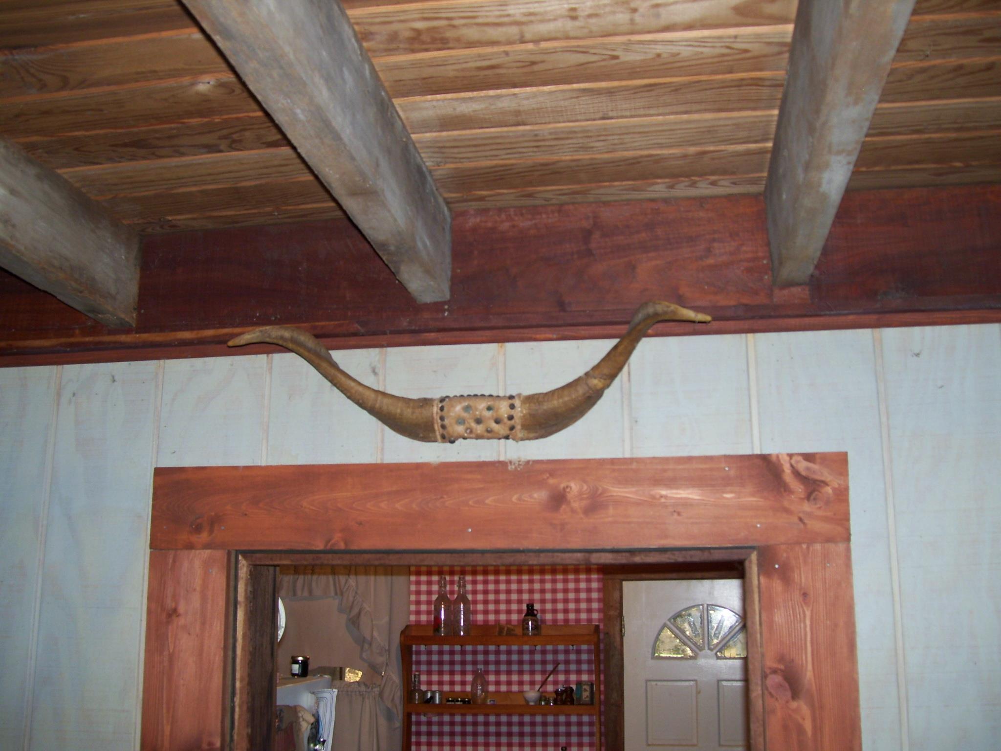 116 Sugar Tree School Road Sugar Tree, TN 38380 - Photo 8 of 12 Gallery Image 8