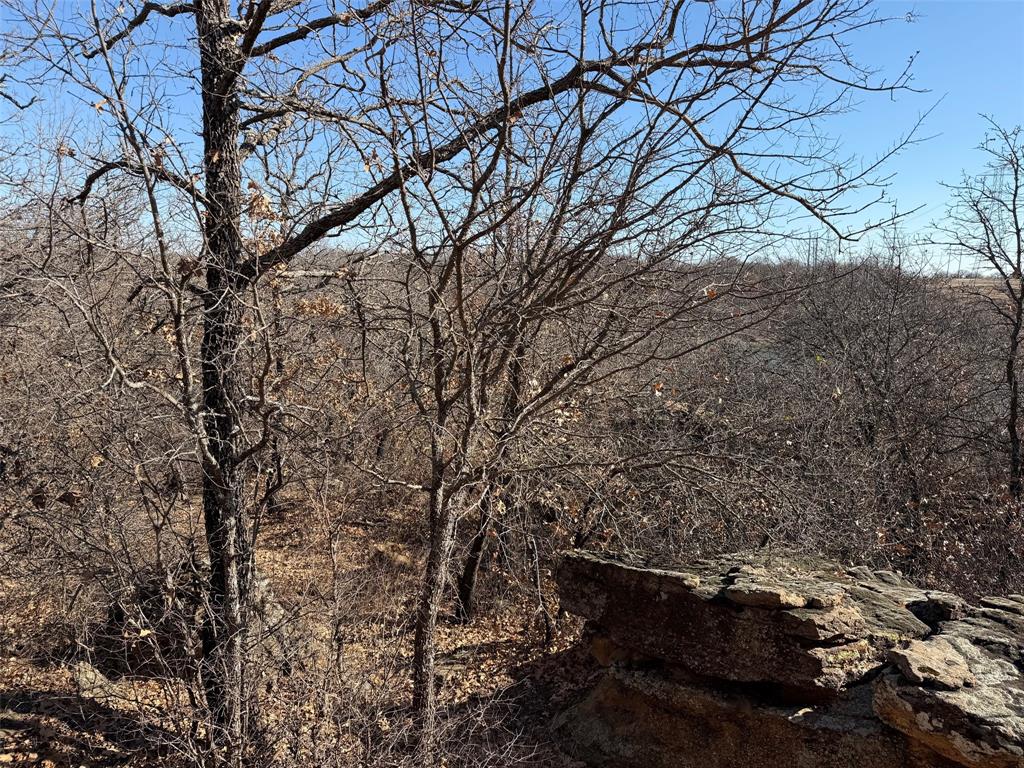 150 Timberidge Lake Road Graham, TX 76450 - Photo 17 of 23