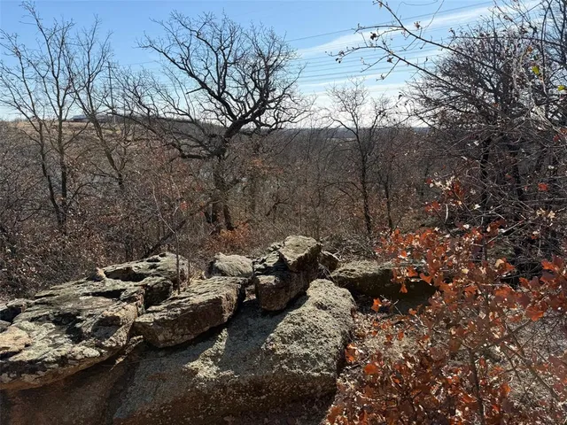 a view of a large tree