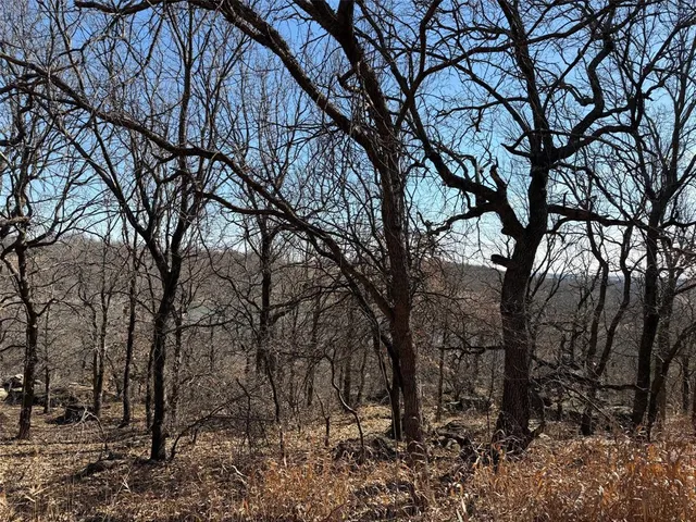 a backyard of a house