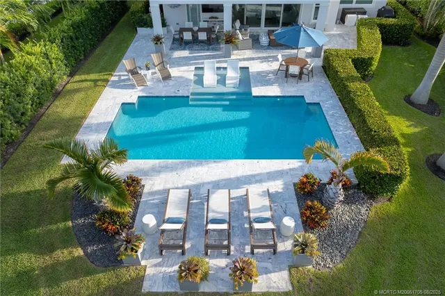 a view of a yard with two plants