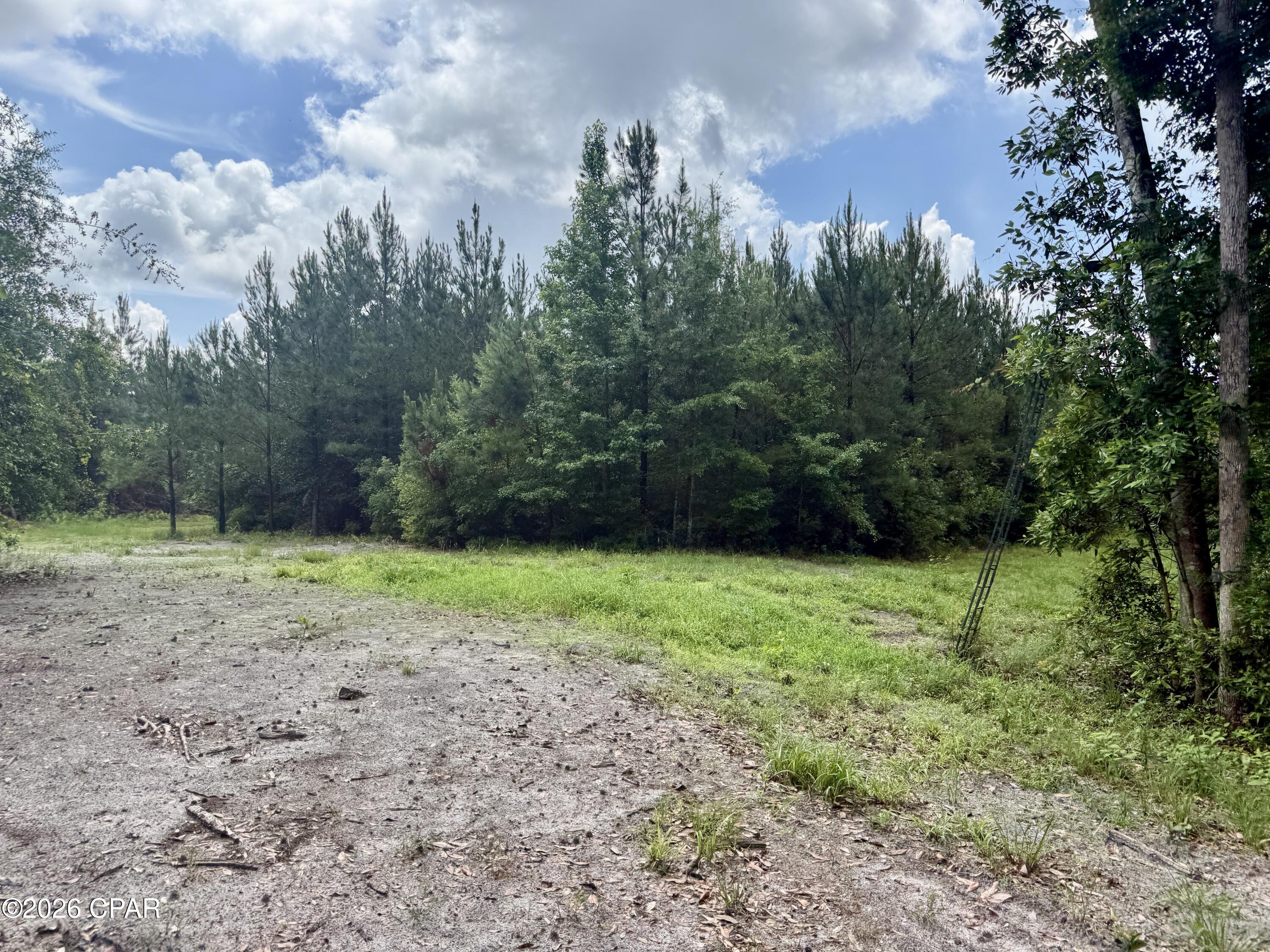 14567 C J Roberts Road Blountstown, FL 32424 - Photo 25 of 38