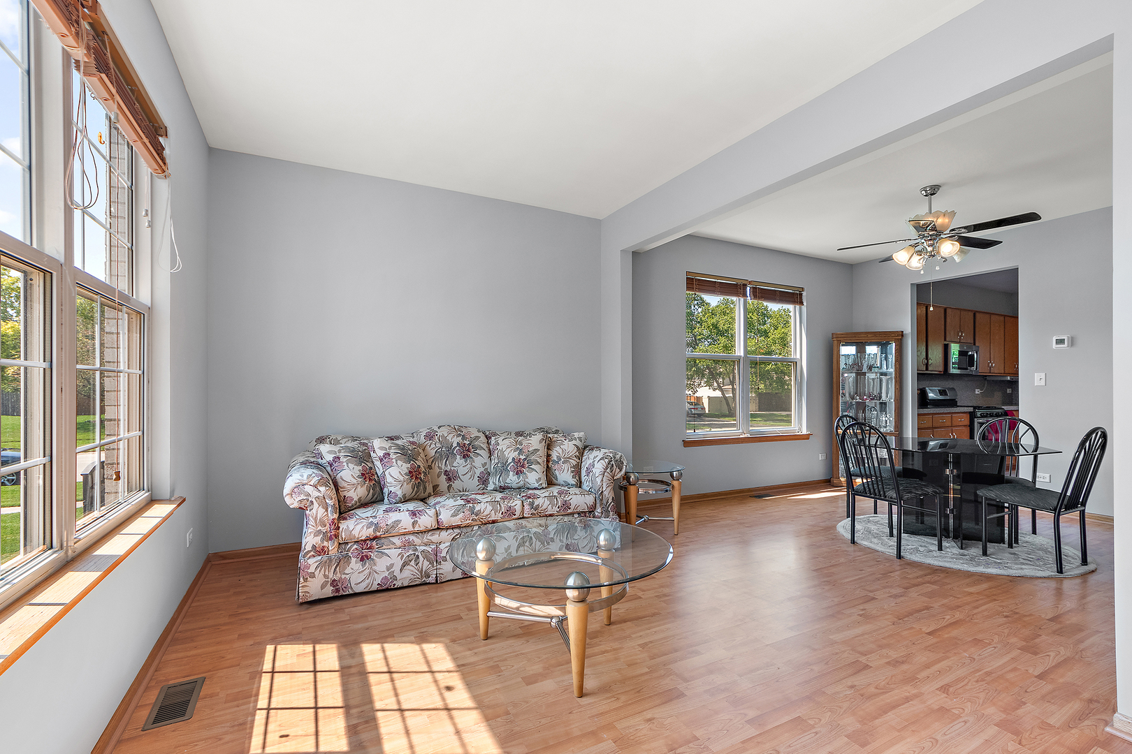 1195 Ogden Road New Lenox, IL 60451 - Photo 6 of 34 Gallery Image 6