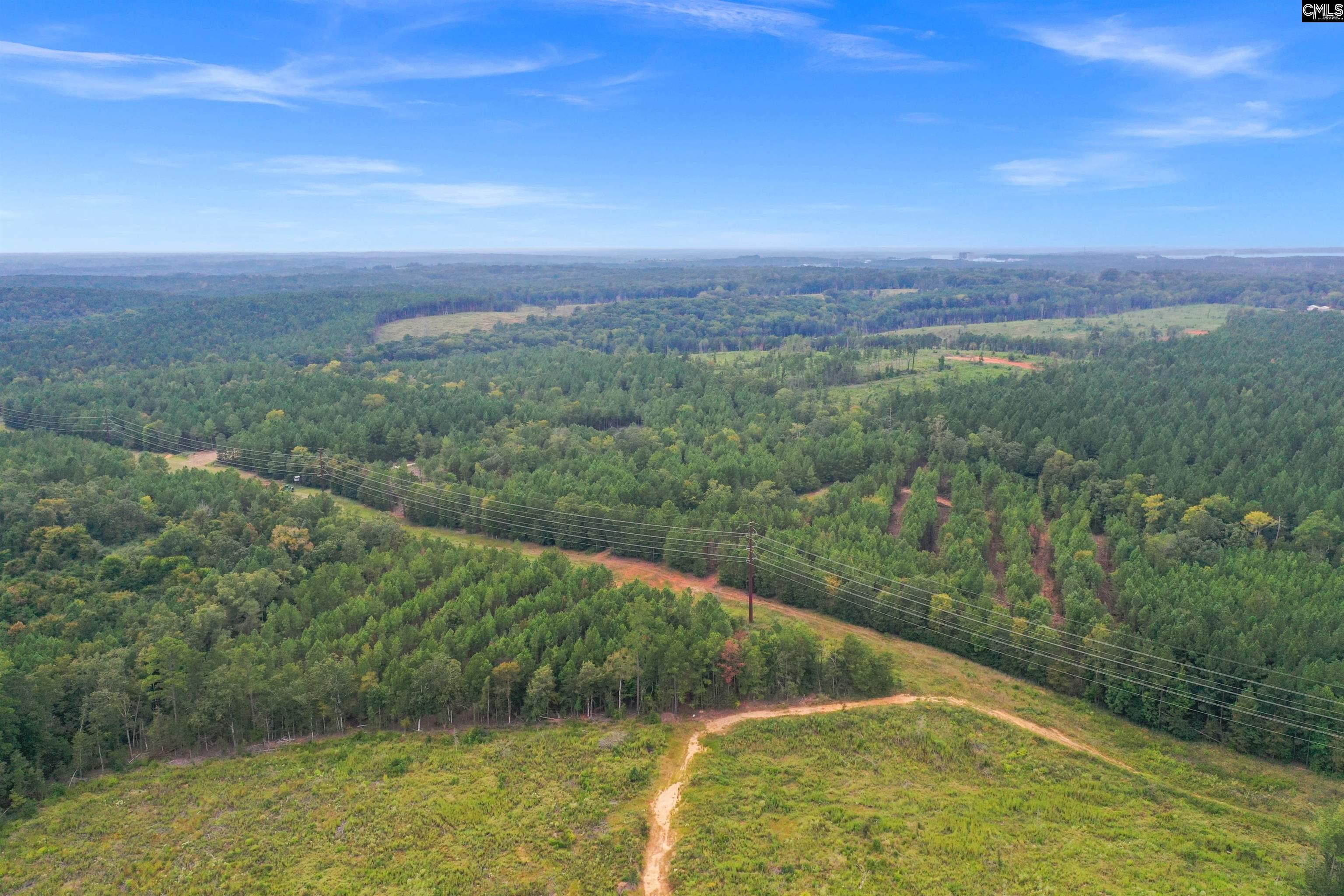 0 Penner Road, Unit 10 Jenkinsville, SC 29065 - Photo 9 of 43