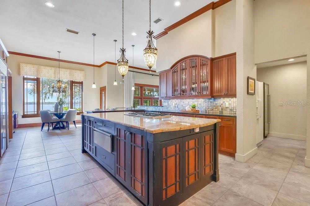 10577 Down Lakeview Circle Windermere, FL 34786 - Photo 21 of 100