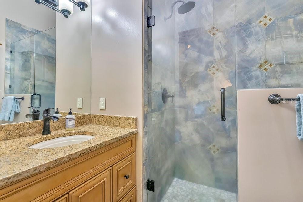 10577 Down Lakeview Circle Windermere, FL 34786 - Photo 38 of 100