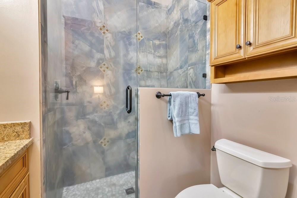 10577 Down Lakeview Circle Windermere, FL 34786 - Photo 43 of 100