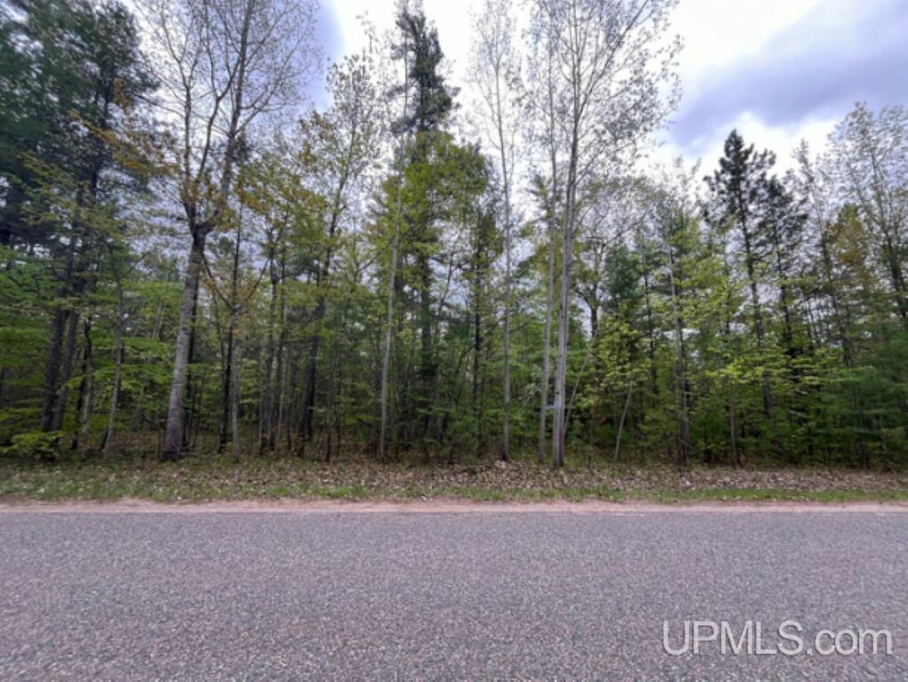 Lot 7 Powell Lake Road Wetmore, MI 49895 - Photo 1 of 16