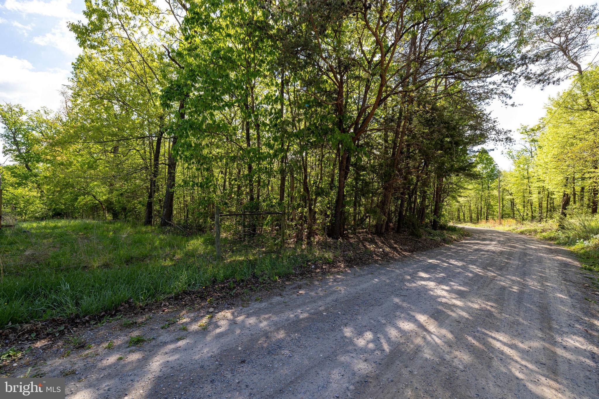 H49 Cross Creek Road Luray, VA 22835 - Photo 28 of 46 a view of a forest with trees