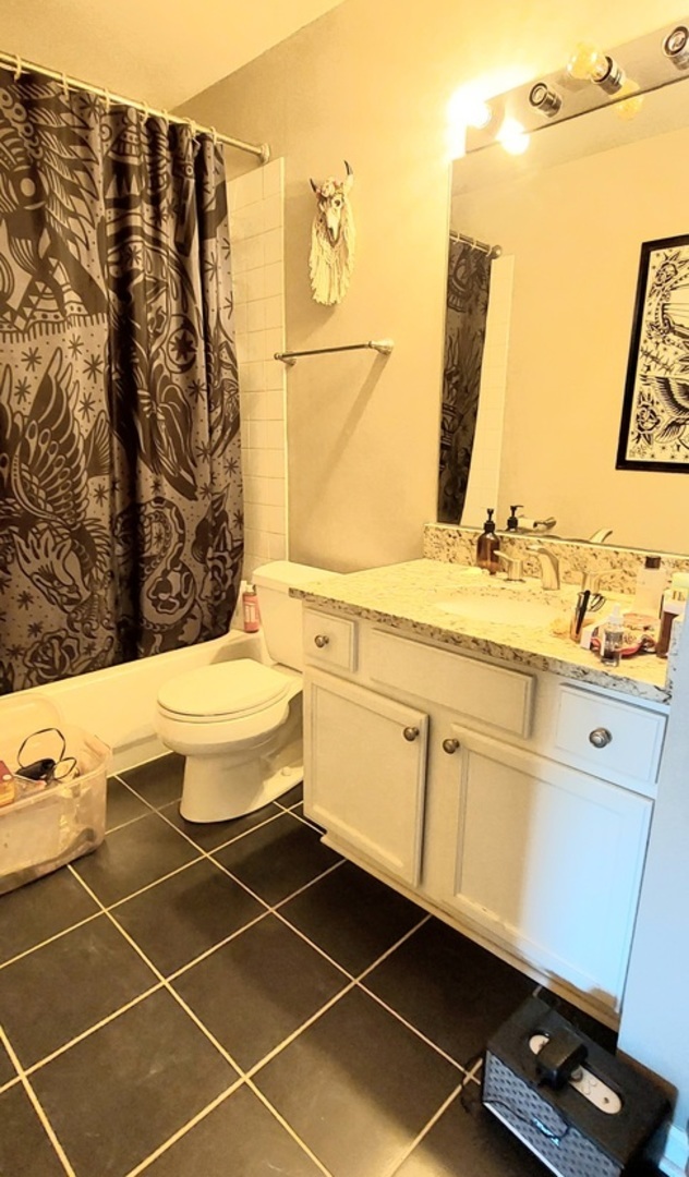 5854 Forest View Road, Unit E Lisle, IL 60532 - Photo 11 of 18 a bathroom with a mirror and a sink