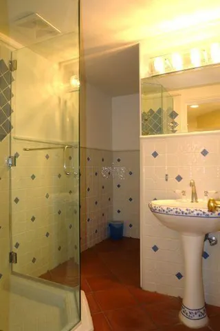 a bathroom with a sink a mirror and a shower